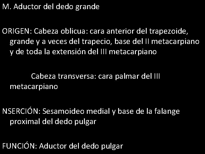 M. Aductor del dedo grande ORIGEN: Cabeza oblicua: cara anterior del trapezoide, grande y