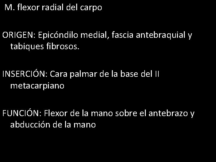 M. flexor radial del carpo ORIGEN: Epicóndilo medial, fascia antebraquial y tabiques fibrosos. INSERCIÓN: