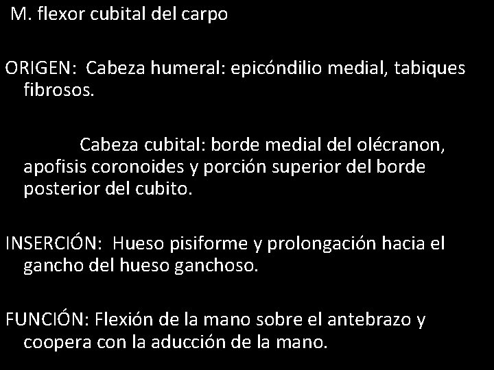 M. flexor cubital del carpo ORIGEN: Cabeza humeral: epicóndilio medial, tabiques fibrosos. Cabeza cubital: