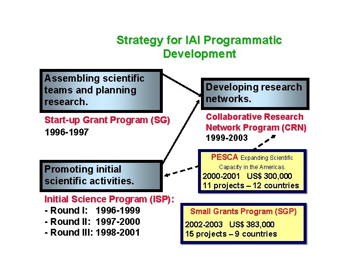 Strategy for IAI Programmatic Development Assembling scientific teams and planning research. Developing research networks.