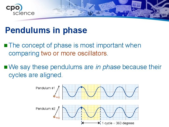 Pendulums in phase n The concept of phase is most important when comparing two