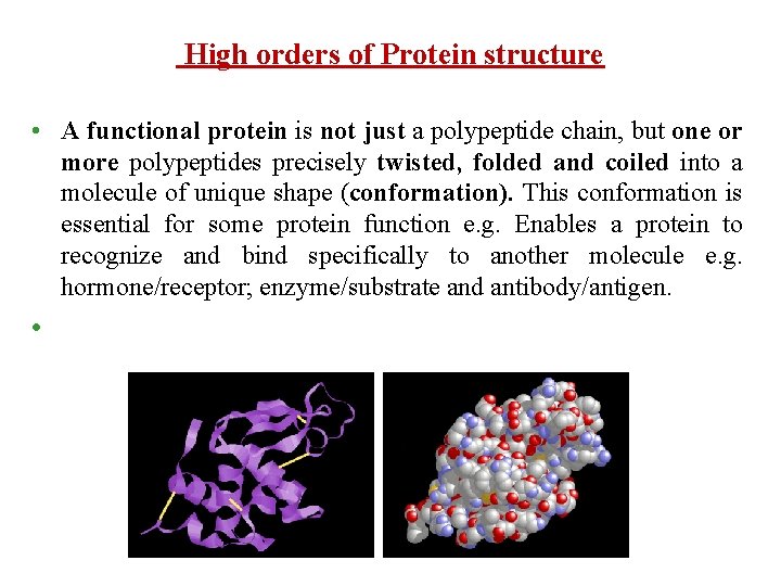 High orders of Protein structure • A functional protein is not just a polypeptide