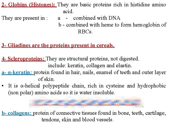 2 - Globins (Histones): They are basic proteins rich in histidine amino acid. They
