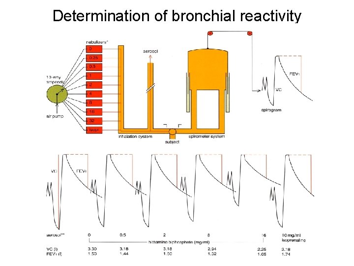 Determination of bronchial reactivity 