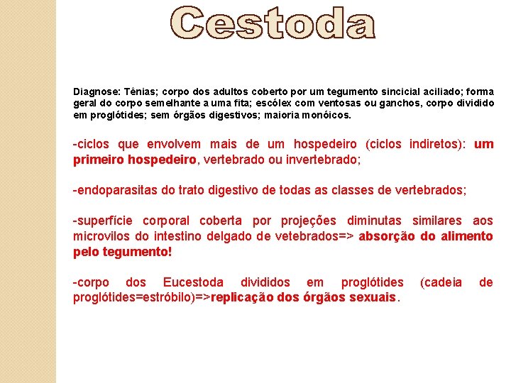 Diagnose: Tênias; corpo dos adultos coberto por um tegumento sincicial aciliado; aciliado forma geral