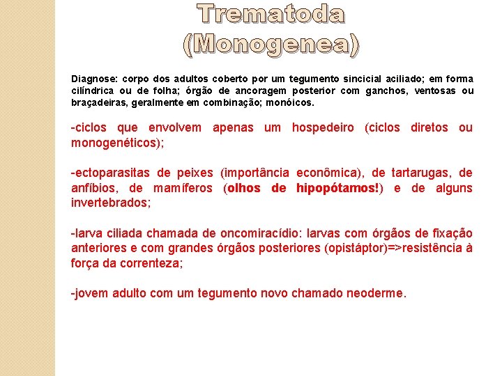 Trematoda (Monogenea) Diagnose: corpo dos adultos coberto por um tegumento sincicial aciliado; aciliado em