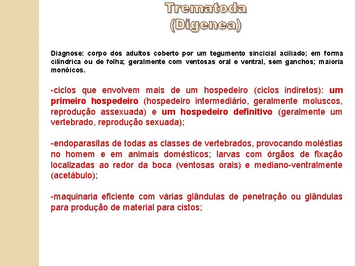 Trematoda (Digenea) Diagnose: corpo dos adultos coberto por um tegumento sincicial aciliado; aciliado em