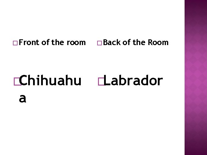� Front of the room �Chihuahu a � Back of the Room �Labrador 