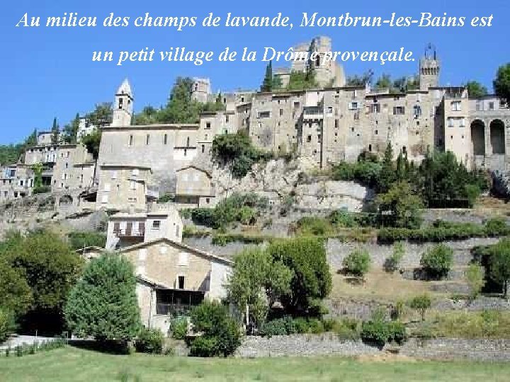 Au milieu des champs de lavande, Montbrun-les-Bains est un petit village de la Drôme