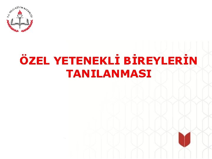 ÖZEL YETENEKLİ BİREYLERİN TANILANMASI 