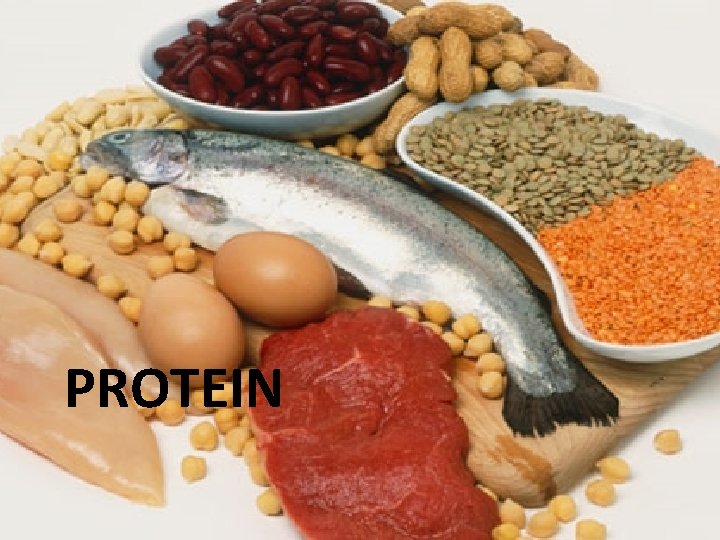 PROTEIN 