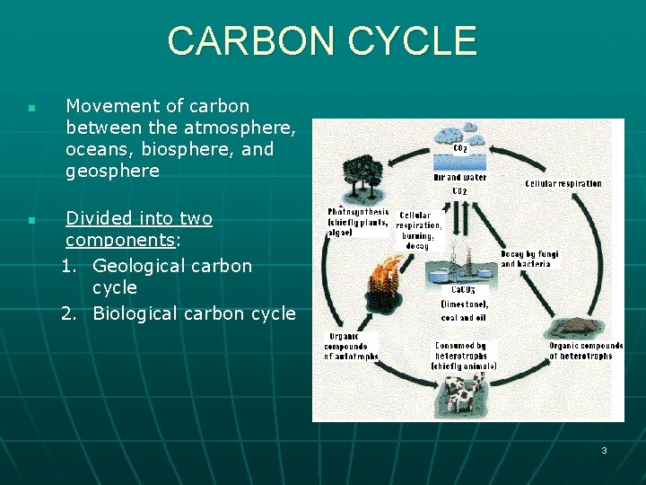 CARBON CYCLE n n Movement of carbon between the atmosphere, oceans, biosphere, and geosphere