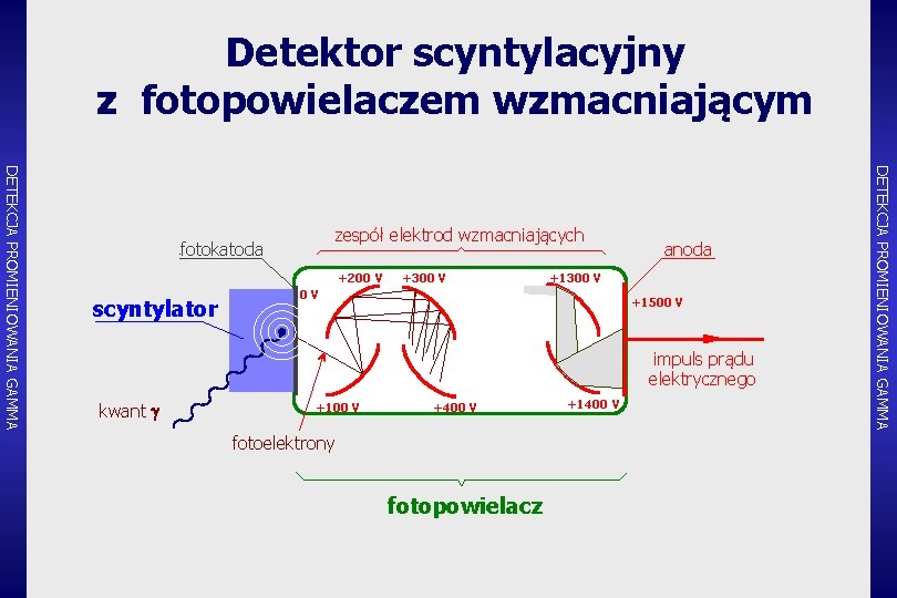 Detektor scyntylacyjny z fotopowielaczem wzmacniającym +200 V scyntylator +300 V anoda +1300 V 0