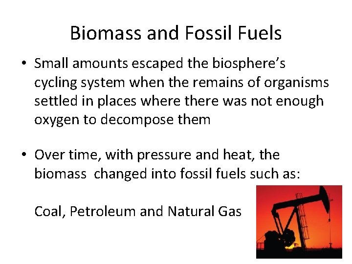 Biomass and Fossil Fuels • Small amounts escaped the biosphere’s cycling system when the