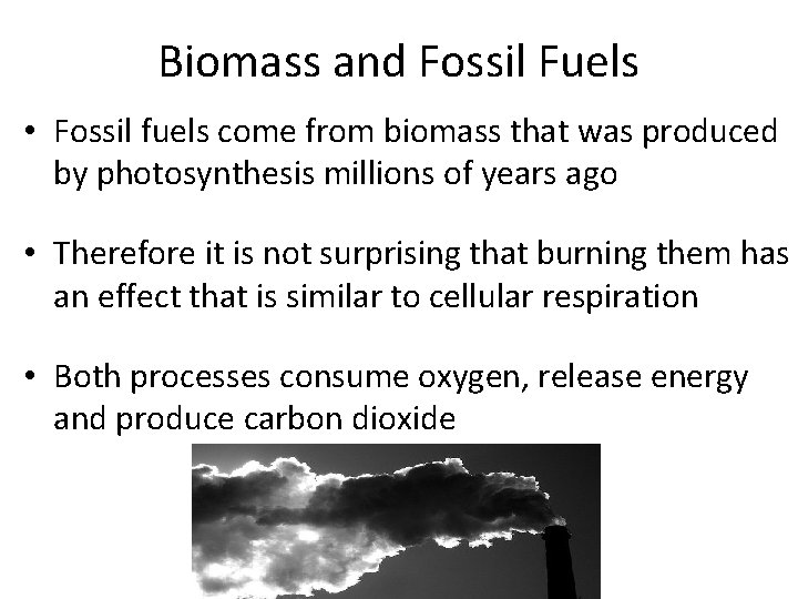 Biomass and Fossil Fuels • Fossil fuels come from biomass that was produced by