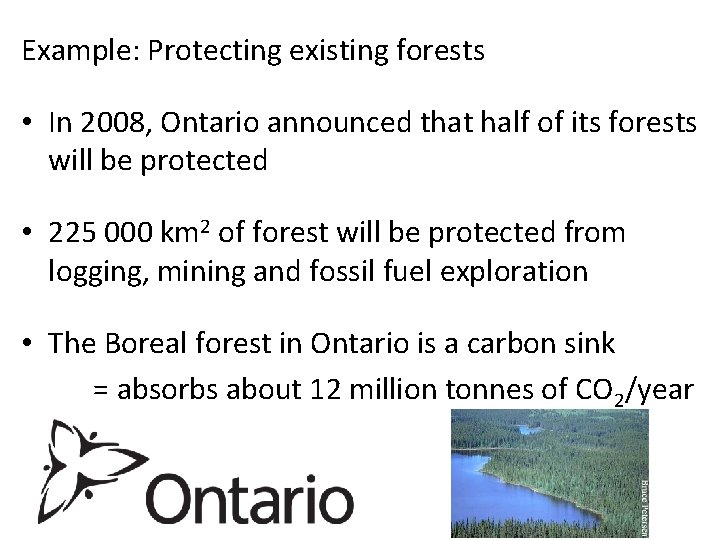 Example: Protecting existing forests • In 2008, Ontario announced that half of its forests