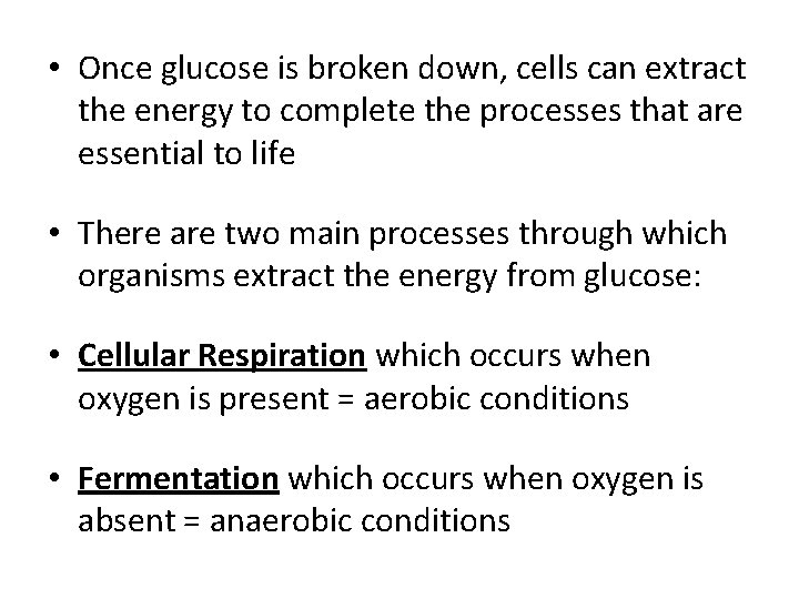 • Once glucose is broken down, cells can extract the energy to complete