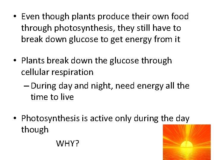  • Even though plants produce their own food through photosynthesis, they still have