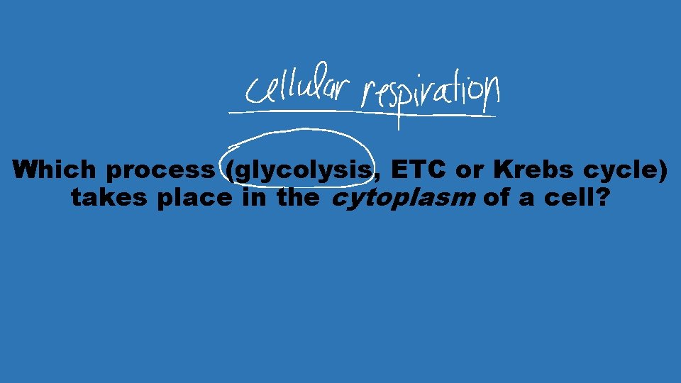 Which process (glycolysis, ETC or Krebs cycle) takes place in the cytoplasm of a