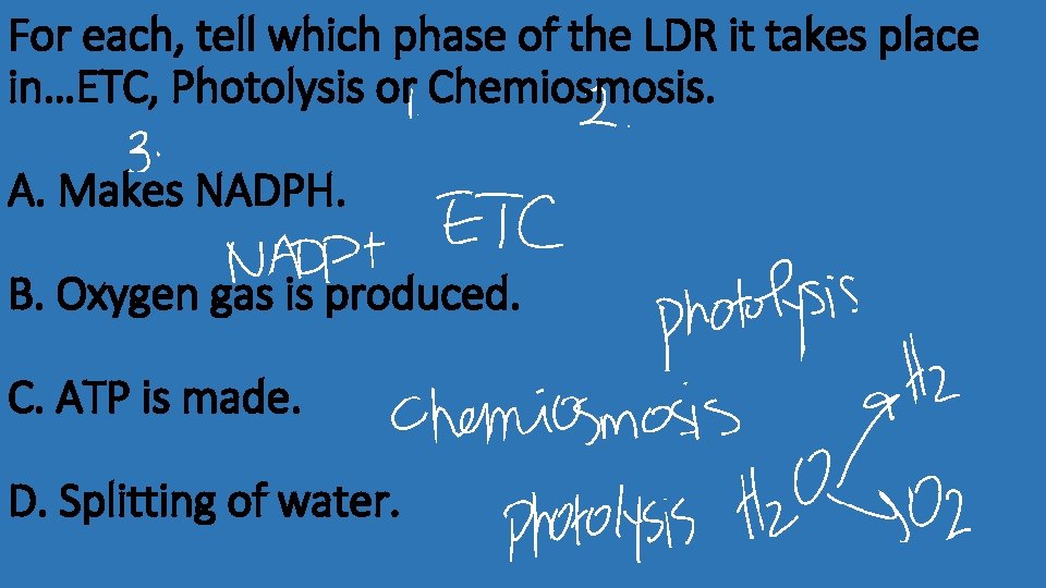 For each, tell which phase of the LDR it takes place in…ETC, Photolysis or