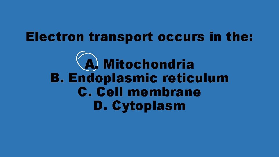 Electron transport occurs in the: A. Mitochondria B. Endoplasmic reticulum C. Cell membrane D.
