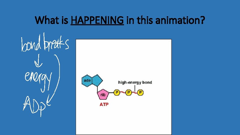 What is HAPPENING in this animation? 