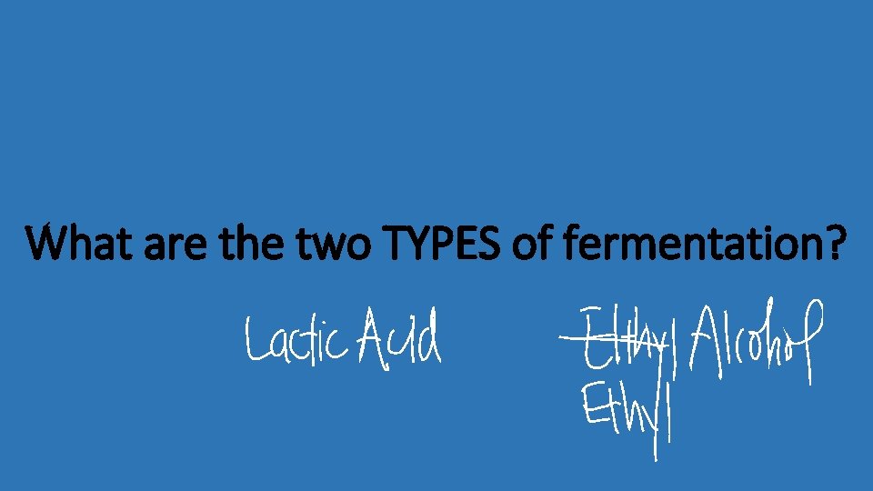 What are the two TYPES of fermentation? 