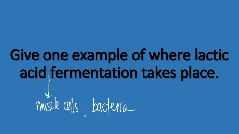 Give one example of where lactic acid fermentation takes place. 