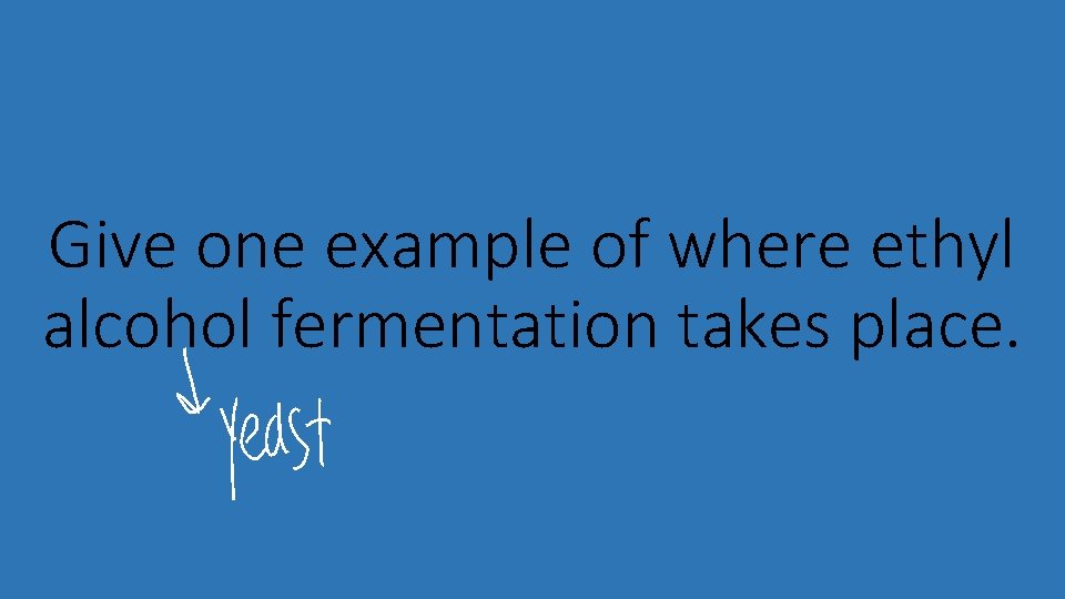 Give one example of where ethyl alcohol fermentation takes place. 