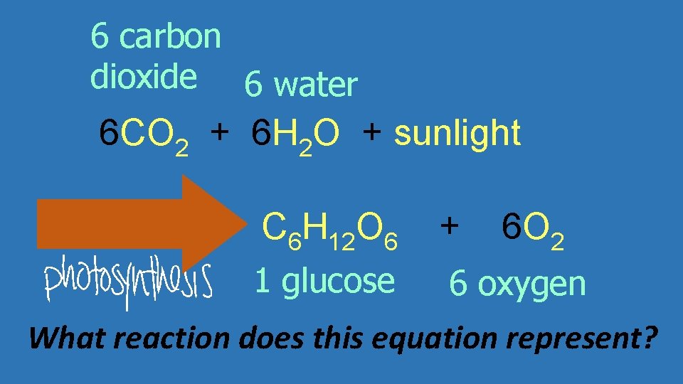 6 carbon dioxide 6 water 6 CO 2 + 6 H 2 O +