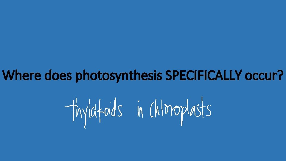 Where does photosynthesis SPECIFICALLY occur? 
