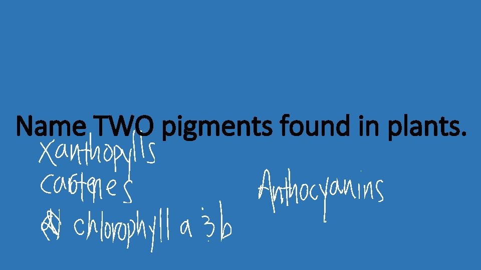Name TWO pigments found in plants. 