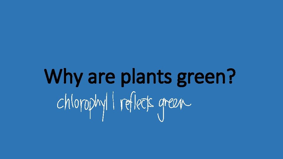 Why are plants green? 