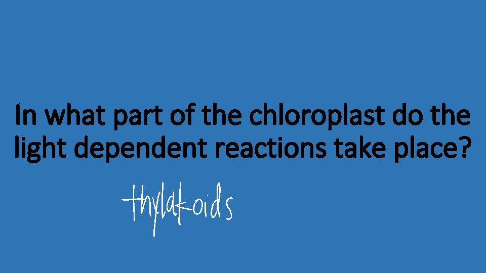 In what part of the chloroplast do the light dependent reactions take place? 