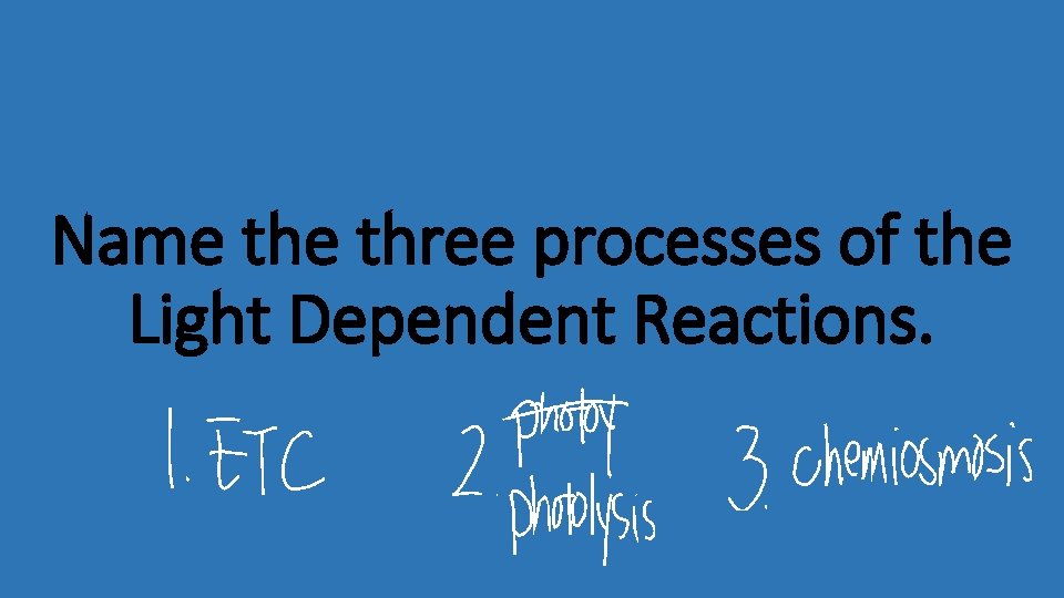 Name three processes of the Light Dependent Reactions. 