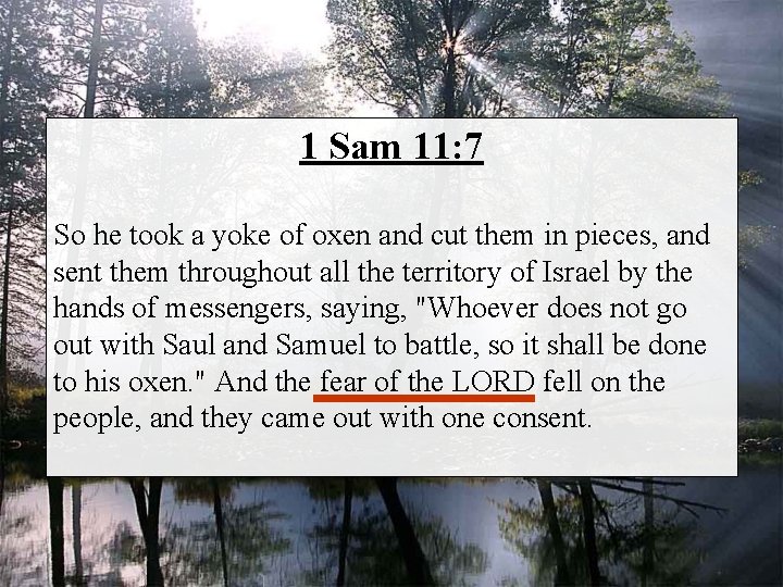 1 Sam 11: 7 So he took a yoke of oxen and cut them