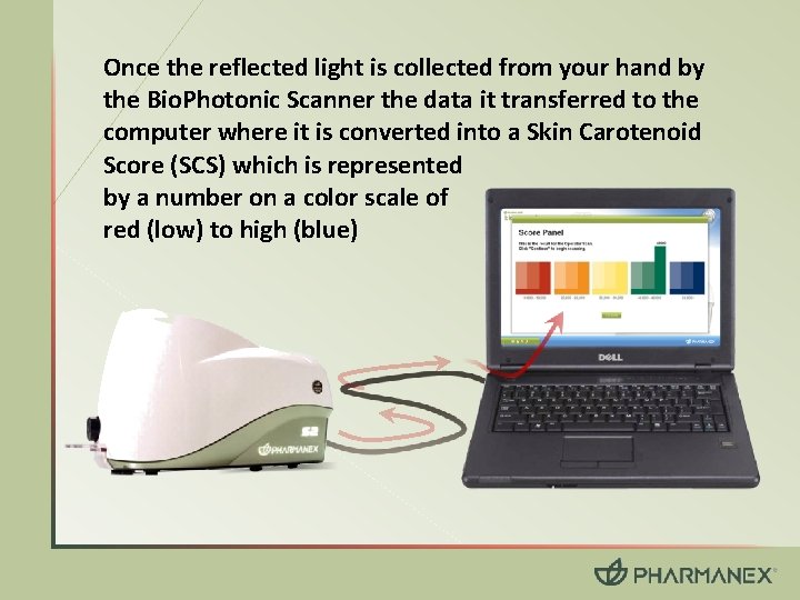 Once the reflected light is collected from your hand by the Bio. Photonic Scanner