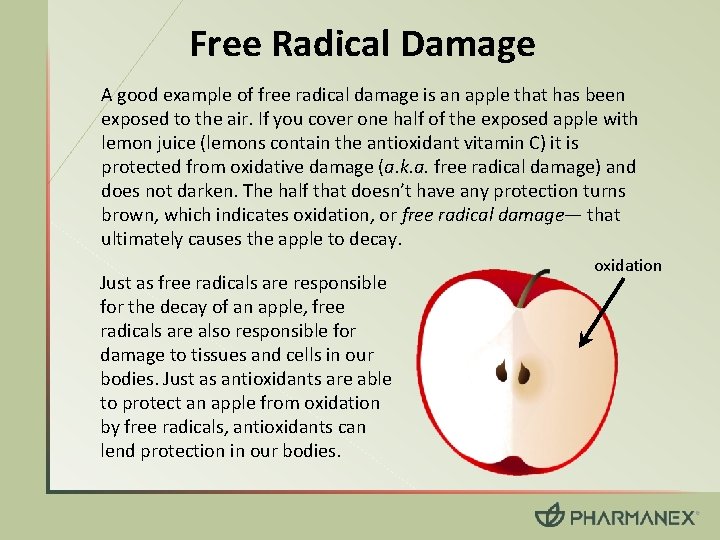 Free Radical Damage A good example of free radical damage is an apple that