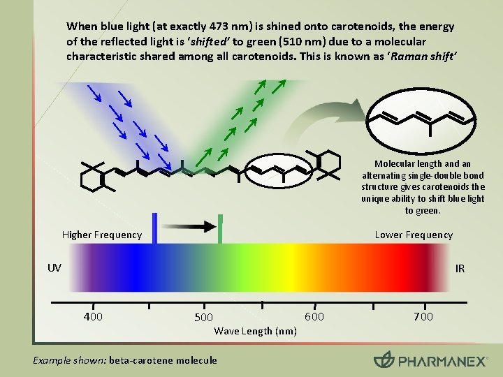 When blue light (at exactly 473 nm) is shined onto carotenoids, the energy of