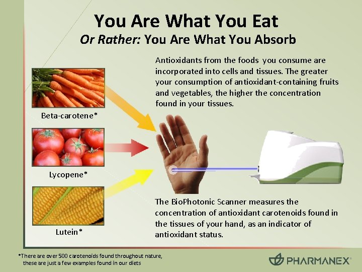 You Are What You Eat Or Rather: You Are What You Absorb Antioxidants from