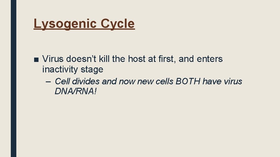 Lysogenic Cycle ■ Virus doesn’t kill the host at first, and enters inactivity stage