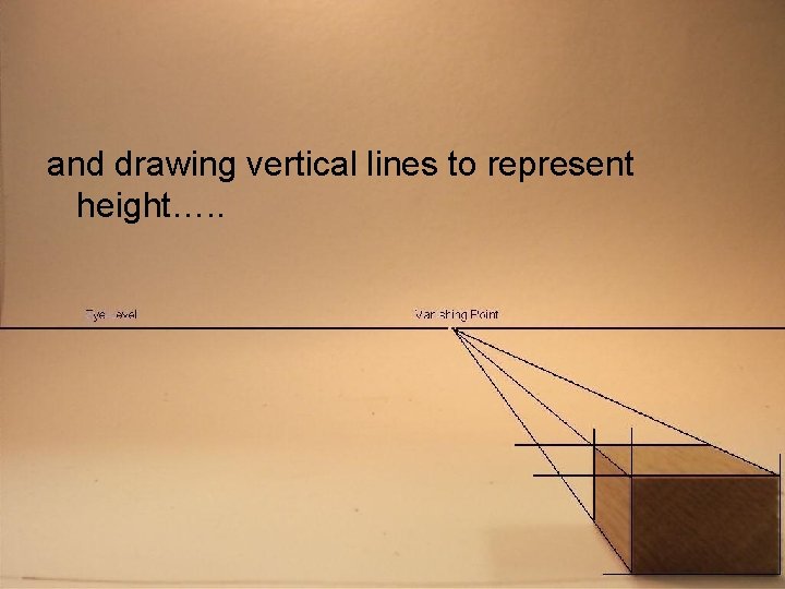 and drawing vertical lines to represent height…. . 