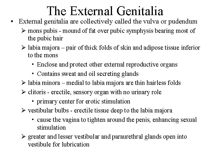 The External Genitalia • External genitalia are collectively called the vulva or pudendum Ø