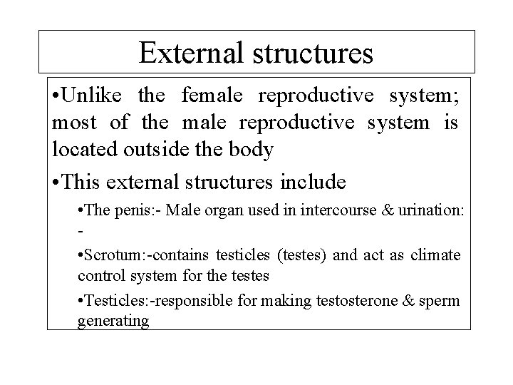 External structures • Unlike the female reproductive system; most of the male reproductive system
