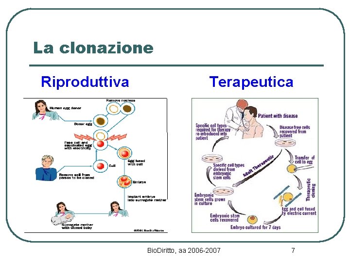 La clonazione Riproduttiva Terapeutica Bio. Diritto, aa 2006 -2007 7 