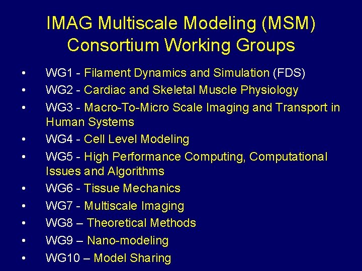 IMAG Multiscale Modeling (MSM) Consortium Working Groups • • • WG 1 - Filament