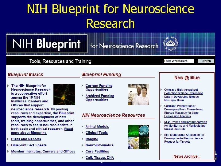 NIH Blueprint for Neuroscience Research National Institute of Biomedical Imaging & Bioengineering, NIH, DHHS