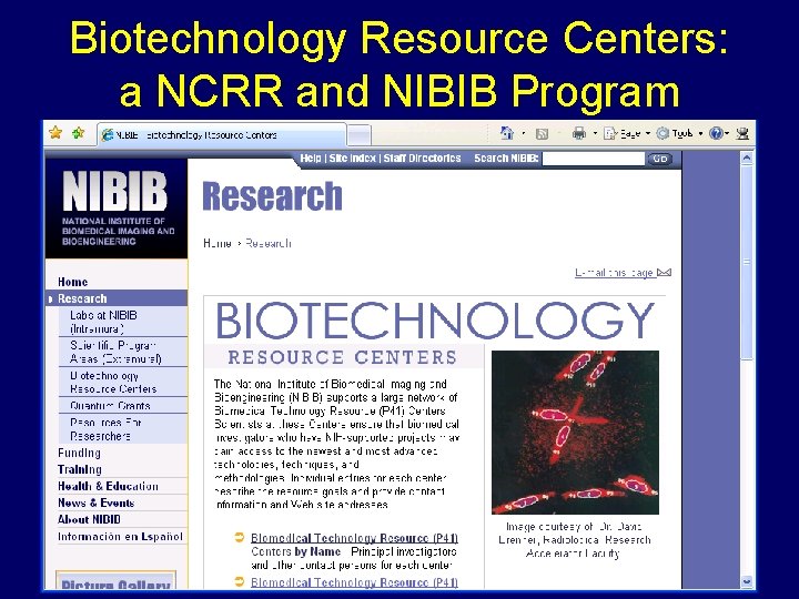 Biotechnology Resource Centers: a NCRR and NIBIB Program 