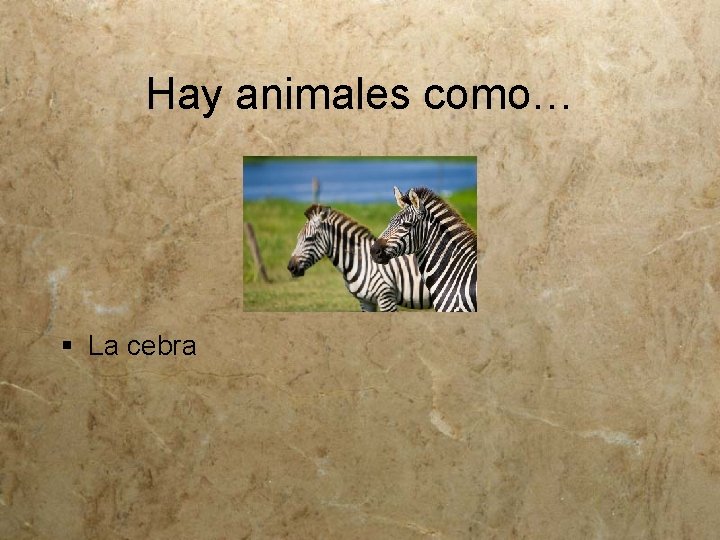 Hay animales como… § La cebra 