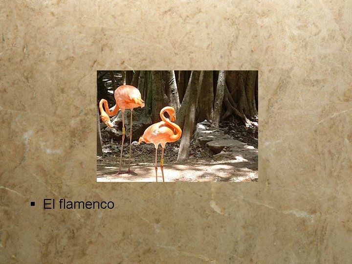 § El flamenco 